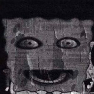 Meet your Posher, Diego